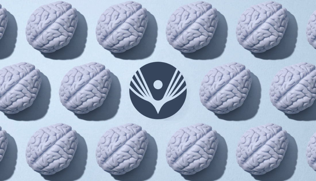 Fenix logo in the middle of small pattern of brains