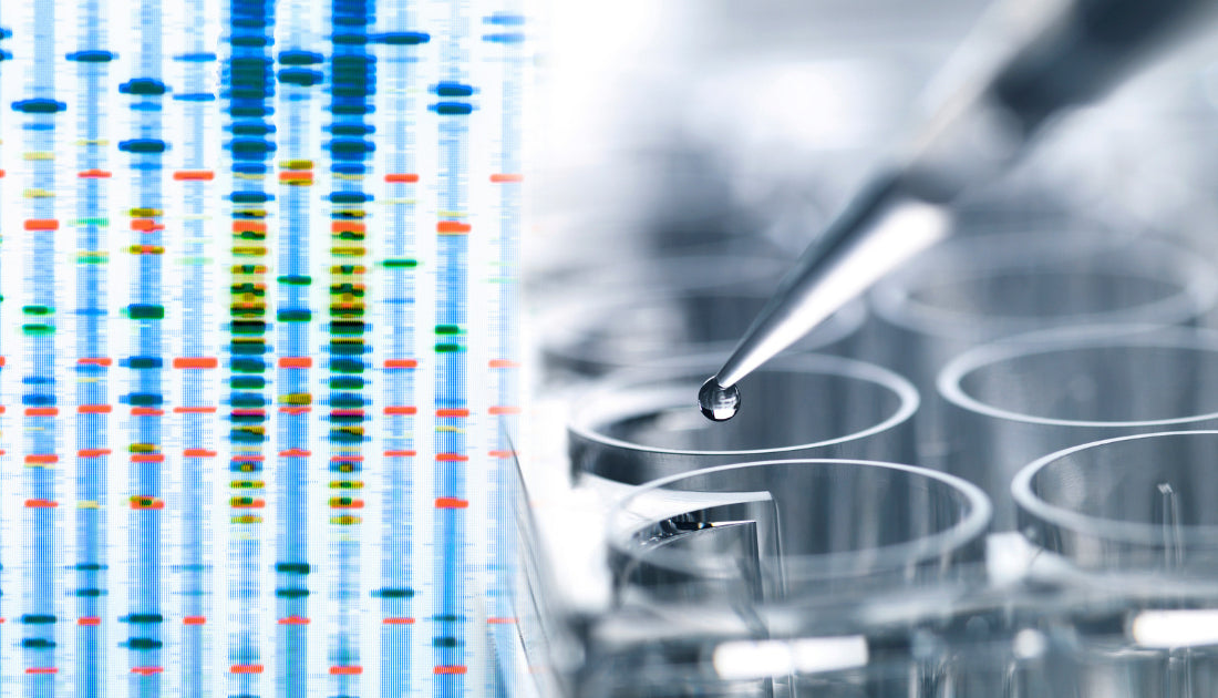 Laboratory DNA testing with genetic analysis results and a pipette.