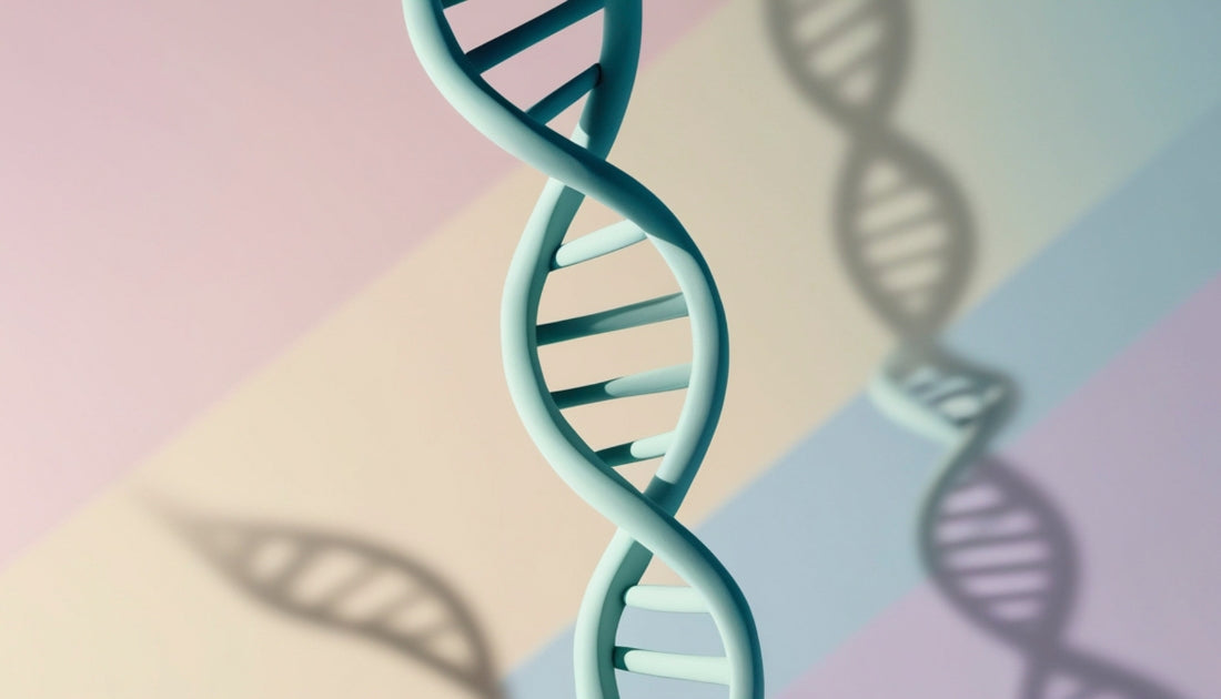 Genetic Testing and MTHFR: The Blueprint for Personalized Health