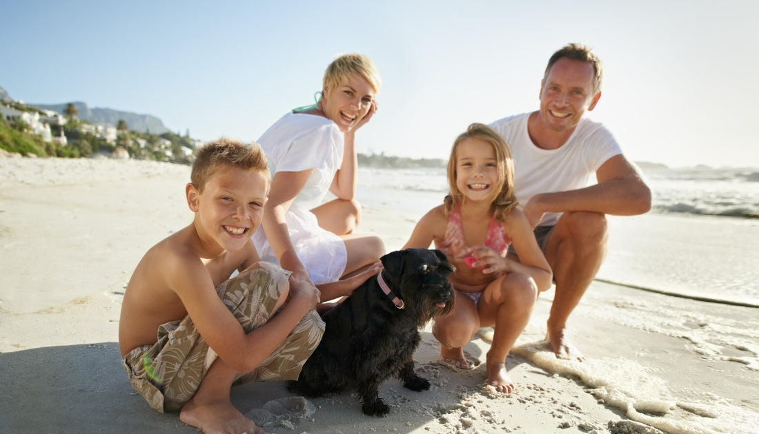 Nutritional Supplements on Summer Break