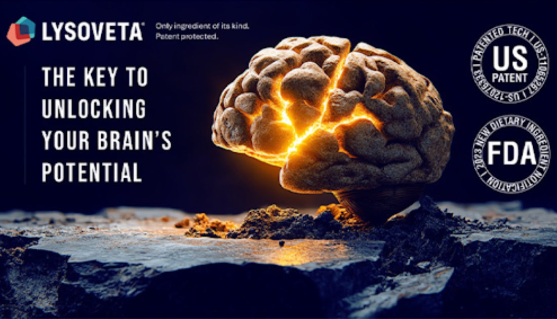 Where to Shop LYSOVETA® for Maximum Omega-3 Benefits