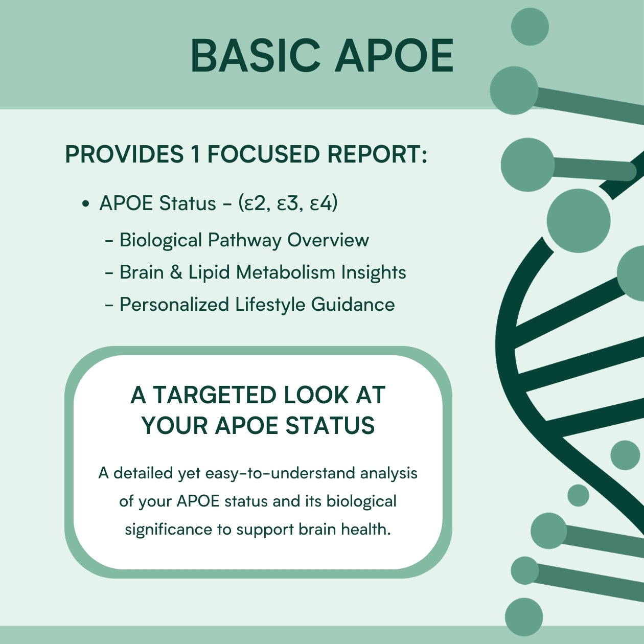 Basic MTHFR & APOE4 Gene Test Bundle Genetic Test Kit Fenix Health Science