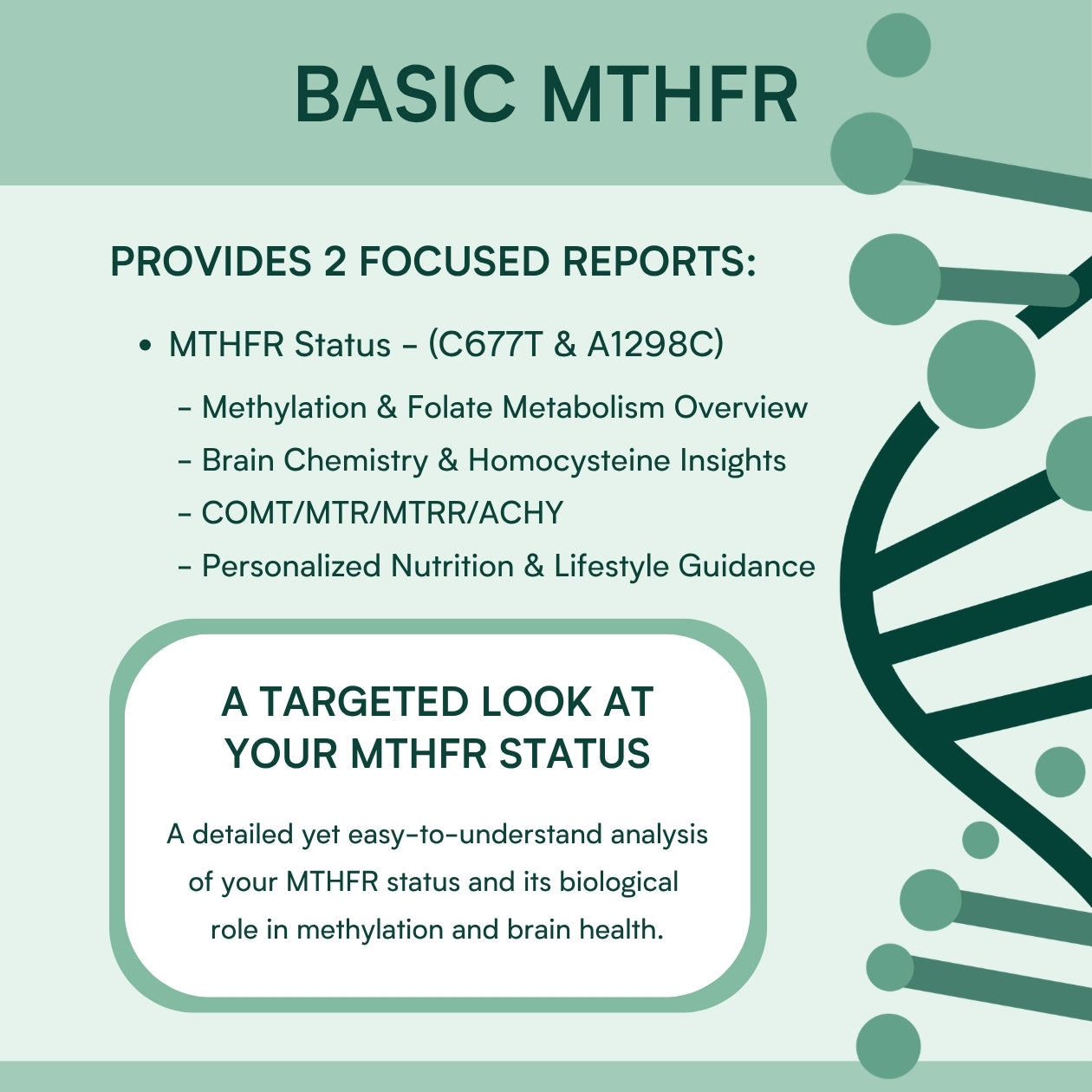 Basic MTHFR & APOE4 Gene Test Bundle Genetic Test Kit Fenix Health Science