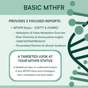 Basic MTHFR & APOE4 Gene Test Bundle Genetic Test Kit Fenix Health Science