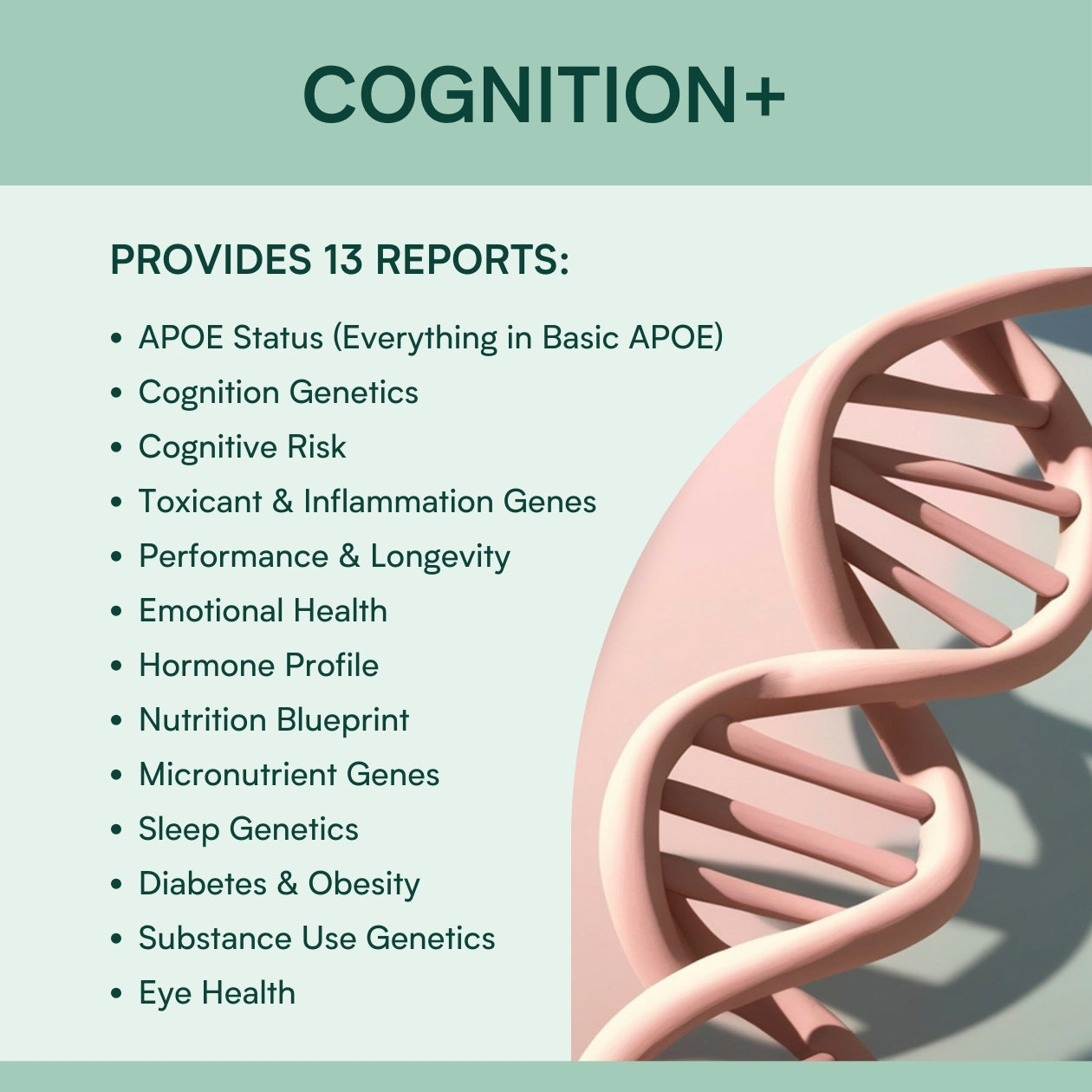 Methylation & Cognition+ Report Upgrade Report Upgrade Fenix Health Science