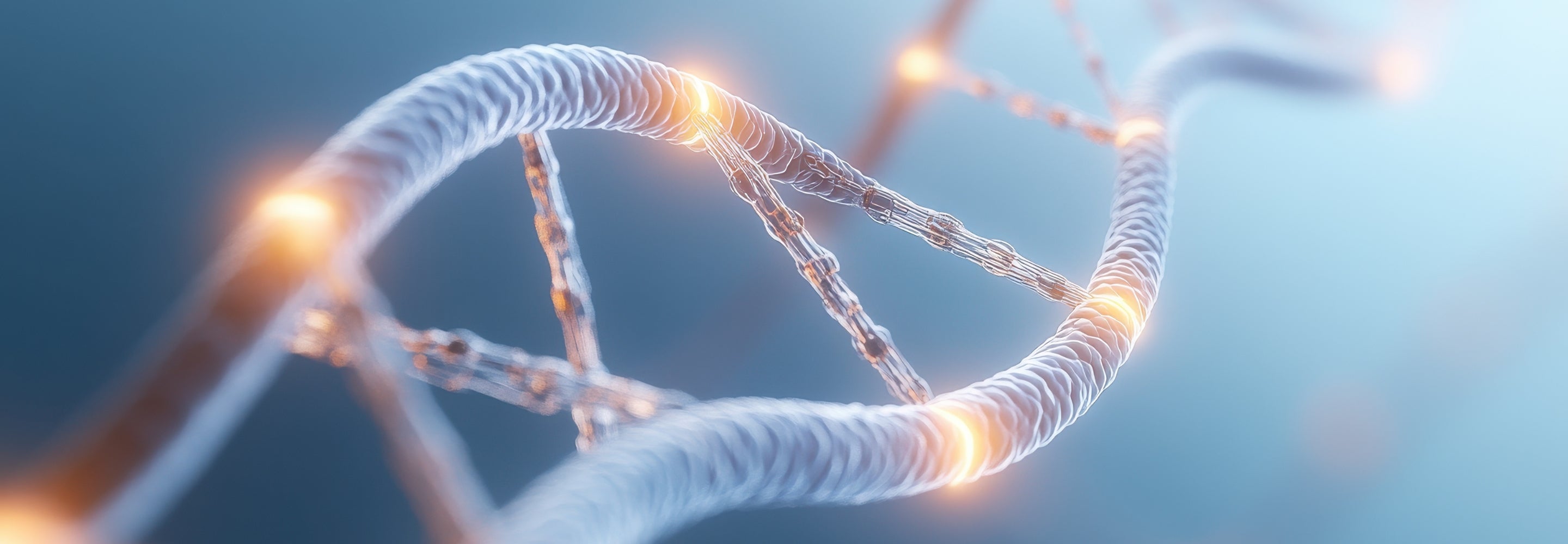 DNA_APOE4_Allele.jpg
